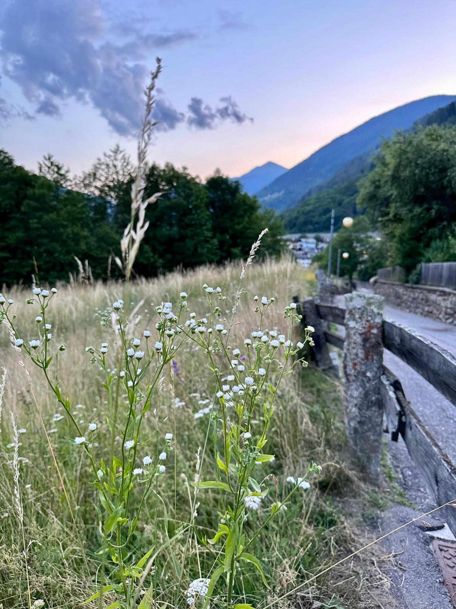 Si Mezzana Home Dış mekan fotoğraf