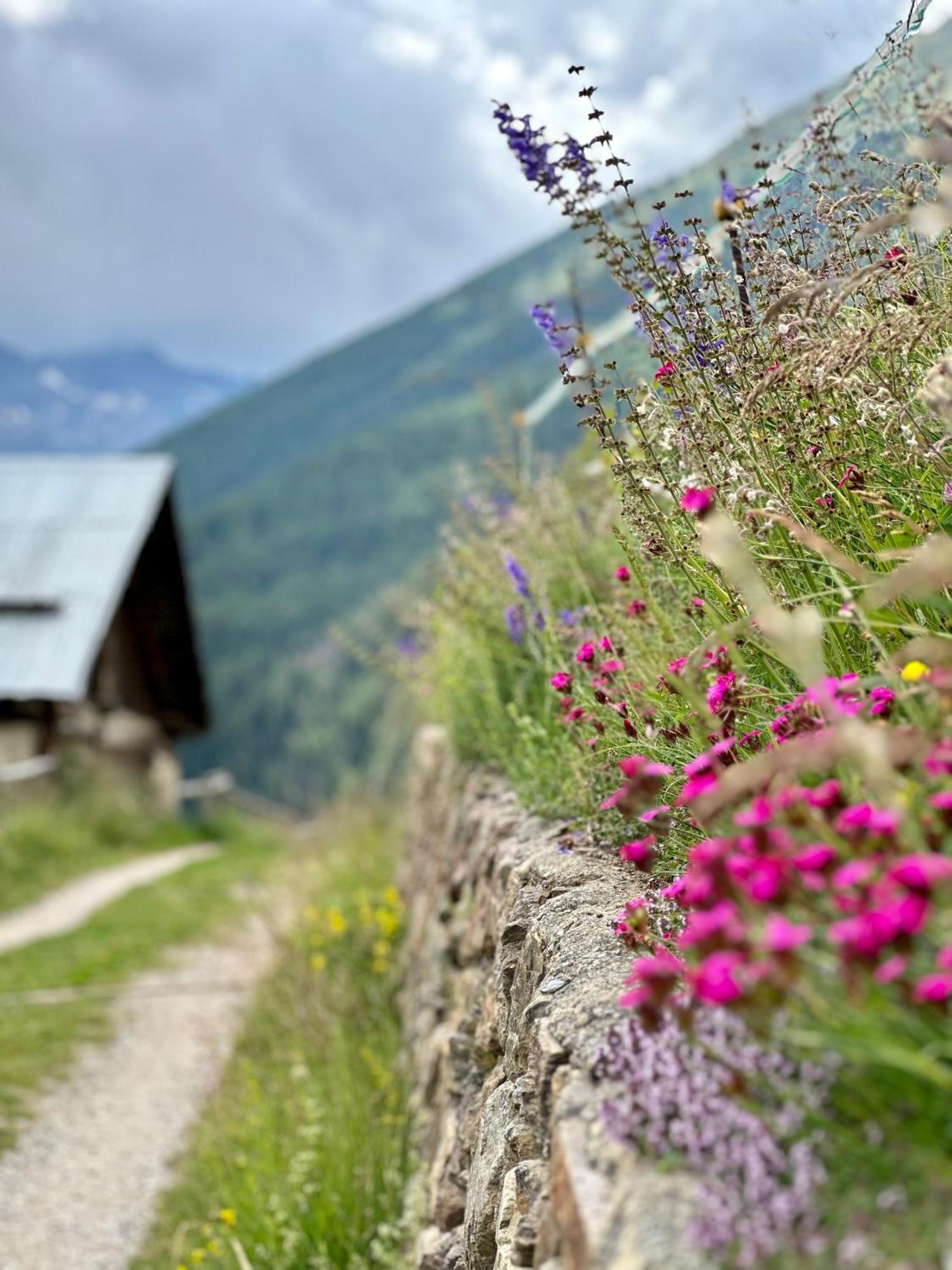 Si Mezzana Home Dış mekan fotoğraf